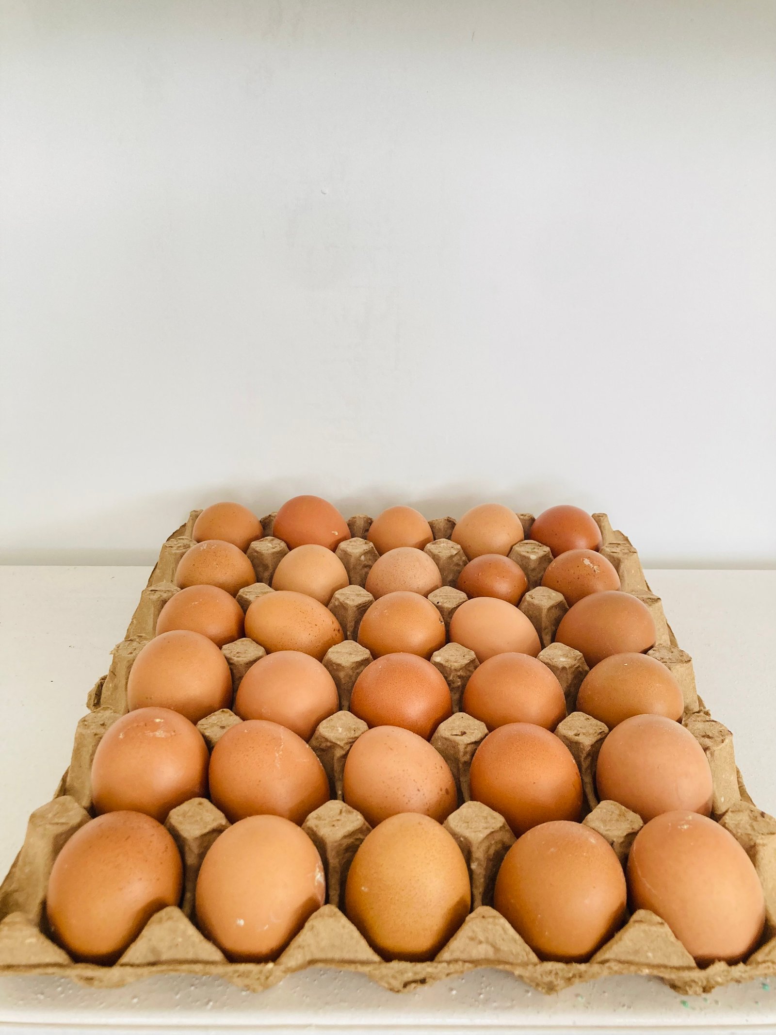 Cartão de ovo nacional